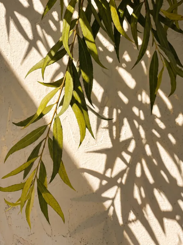 Botanisch & Natuur